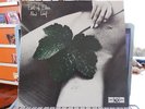 EAST OF EDEN NEW LEAF JAPAN White Label Promo Harvest Pink Floyd WLP UK Prog