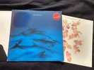 FRAZIER CHORUS - Ray - Vinyl LP + Bonus 