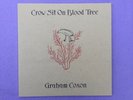 Graham Coxon (Blur) - Crow Sit on Blood Tree. Vinyl, only played once - VVGC