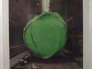 METERS Cabbage Alley REPRISE MS 2076 LP SEALED