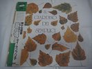 IL GIARDINO DEI SEMPLICI Japan 1st.Press w/OBI PFM Banco Museo Rosenbach Osanna