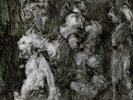 Mark Lanegan & Duke Garwood - With Animals VINYL LP NEW (24TH AUGUST)