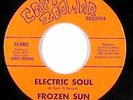 Psych Fuzz Funk 45 - Frozen Sun - Electric Soul - Capt. Zoomar -New - rare