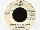 THE SAPPHIRES Gonna Be A Big Thing on ABC Paramount Promo Northern Soul 45 Hear