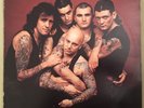 Rose Tattoo - Scarred For Life - OZ 1982 2nd Press Red Albert - Hard Rock
