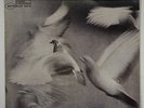 Donald Byrd 