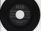 ROCK-A-BILLY AND ROCK AND ROLL JIMMY WITTER