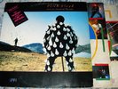 Pink Floyd ?– Delicate Sound Of Thunder -   BRAZIL PRESS - W/HYPE 2LP