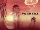 VERDENA - SOLO UN GRANDE SASSO 2 LP