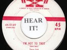 Terry Fell ROCKABILLY BOPPER 45 (