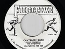JA Press Rocksteady 45 : THE FUGITIVES - Cantelope Rock / The Lecture  HEAR