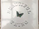 The Stone Roses - Beautiful Thing - Ltd 12 Single - 3611/6000 - Sealed - 2016