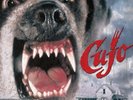 Cujo - Complete Score - Black / Brown Vinyl - Limited 1000 - Peter Bernstein
