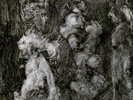 Mark Lanegan & Duke Garwood - With Animals Vinyl LP NEU 0554777