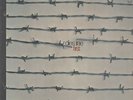 Dies Irae First ORIGINAL 1ST GERMAN, POKORA 5001 Pilz Vinyl LP