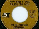 NORTHERN SOUL - ELECTRIFYING CASHMERES - WHAT DOES IT TAKE - SS7 - 