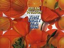 Brian Wilson - That Lucky Old Sun