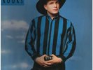 Garth Brooks Ropin The Wind Capitol Records Nashville Vinyl LP