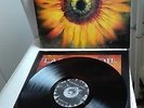 LACUNA COIL original Vinyl LP Comalies (2002)