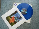 Pink Floyd - Wish You Were Here, Lim. Sonderaufl. in blauem Vinyl,  1975