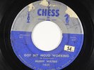 Blues 45 - Muddy Waters - Got My Mojo Working - Chess - mp3