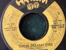 THE ROYAL JESTERS Those Dreamy Eyes 45 on Harlem 105 TX doo-wop RARE  HEAR