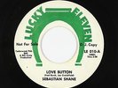 Garage 45 - Sebastian Shane - Love Button - Lucky Eleven - mp3