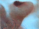 Pink Floyd - Meddle (LP, Album, RP, Gat) Vinyl Schallplatte - 156253