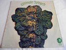 ULTIMATE SPINACH   ULTIMATE SPINACH ** 1968 UK 1st MGM LP PSYCH