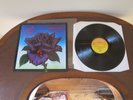 Thin Lizzy - Black Rose LP - SUPERB N Mint Vintage UK Vinyl - Worldwide Shipping
