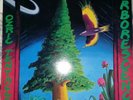 OZRIC TENTACLES ?– ARBORESCENCE 2LP 1994 - DOVETEIL RECORDS ?DOVE LP7 COME NUOVO