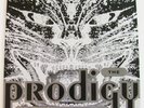 The Prodigy   Charly/Everybody In The Place   12