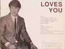 Brian Wilson ? Brian Loves You 1987 BW/Beach Boys rarities 12
