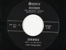 Rock & Roll Inst. 45 - Premiers - Shawnee/Orbit Bound - Squire - VG+ mp3 - rare