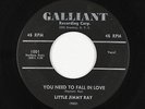 R&B Soul Popcorn 45 - Little Jimmy Ray - You Need To Fall In Love - Galliant mp3
