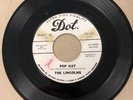 The Lincolns ?– Pop Kat/We Got Some Dot Records ?– 45-16958 Promo Garage