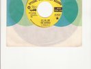 The Animals- It's My Life- Rare 1960's Promo/DJ 45- MGM Label