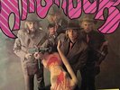 Petards - Hitshock
