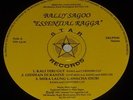 Bally Sagoo - Essential Ragga - LP Vinyl Record Bhangra Punjabi Indian Remix