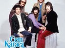 TURKISH FOLK ROCK LP CEM KARACA Kardaslar & Apaslar Baris Manco Erkin Koray NEW