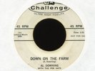 AL DOWNING & THE POE KATS Down on the Farm Challenge Promo R&B Rocker 45 Hear