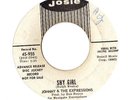 Northern Soul 45 JOHNNY & THE EXPRESSIONS Shy Girl  JOSIE PROMO HEAR