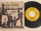 Gorgeous Original 1967 / The Hollies / Carrie Anne / 45 & Picture Sleeve / NM+