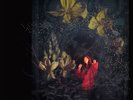 JULIA HOLTER Aviary DLP NUOVO Limited Edition with art print