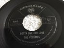 THE VOLUMES - “Gotta Give Her Love” (American Arts AA 6) VG+ Condition