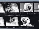 THE BEATLES -LET IT BE NAKED  SEALED  MINT-PARLOPHONE 2003 bonus 7' single