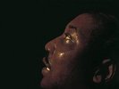 MUDDY WATERS   THE BEST OF MUDDY WATERS   VINYL LP   *NEW/SEALED*