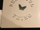 The Stone Roses  Beautiful Thing  12