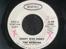 Remains, Epic 10001, Diddy Wah Diddy & Once Before, good garage