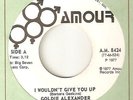GOLDIE ALEXANDER I Wouldnt Give You Up AMOUR RARER  NORTHERN SOUL 45